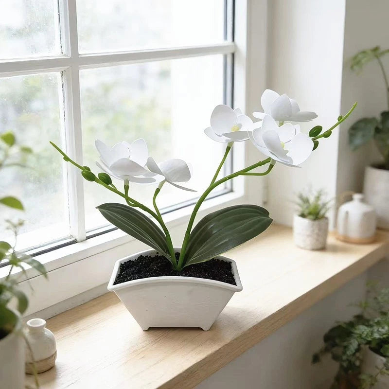 Plastic Phalaenopsis Orchid for Wedding Home Tabletop