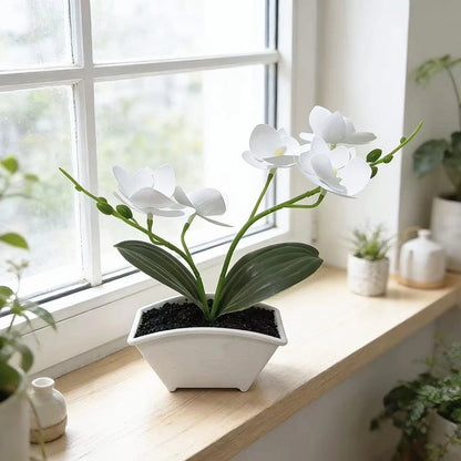 Plastic Phalaenopsis Orchid for Wedding Home Tabletop