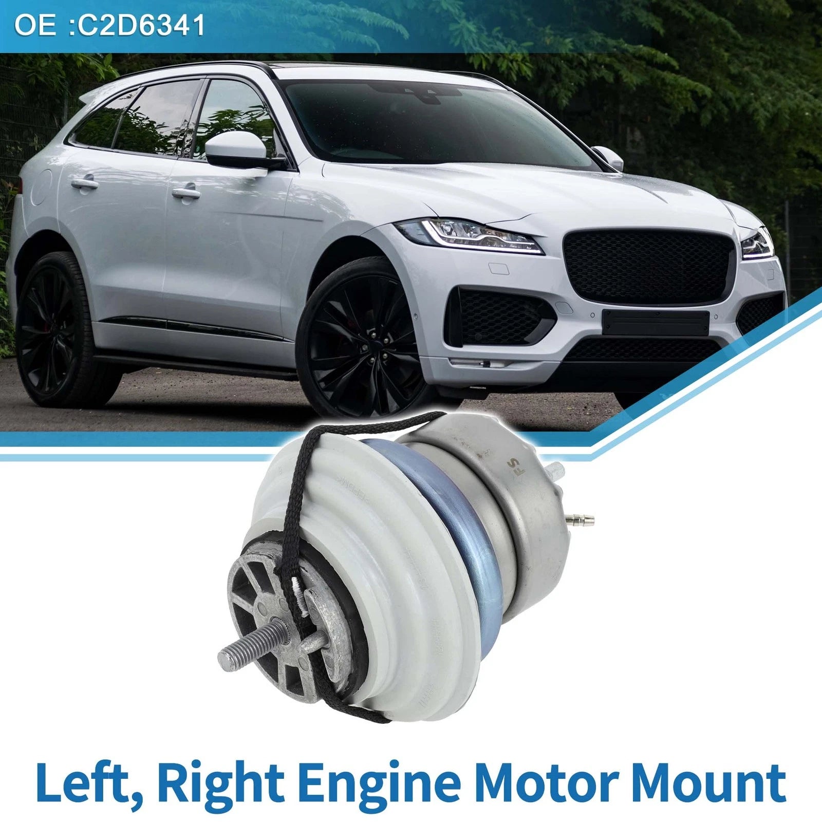Engine Motor Mount for Jaguar XJ (2010–2019)