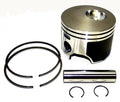 Piston Kit for Johnson Evinrude 115-200 Hp V4 V6 E-Tec (100-131 OE 5007036)