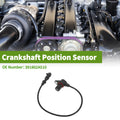 Crankshaft Position Sensor Replacement for Hyundai i20 1.1 CRDi (2014–2014)