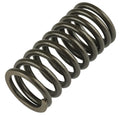Valve Spring for Honda Foreman Rubicon 500 2001–2014
