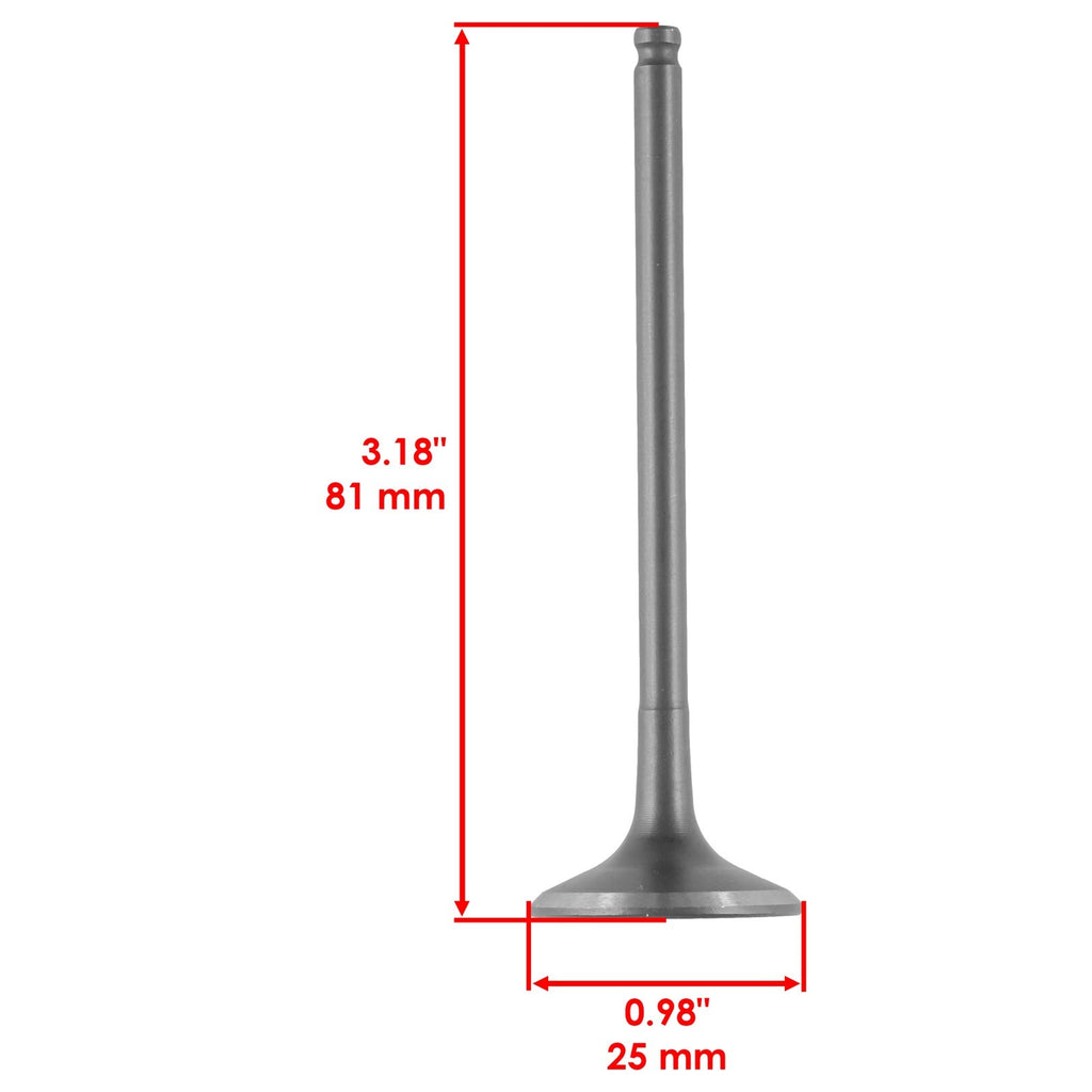 Intake & Exhaust Valve Replacement for Suzuki Swift (2010–2017)
