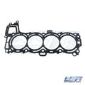 WSM Gasket for