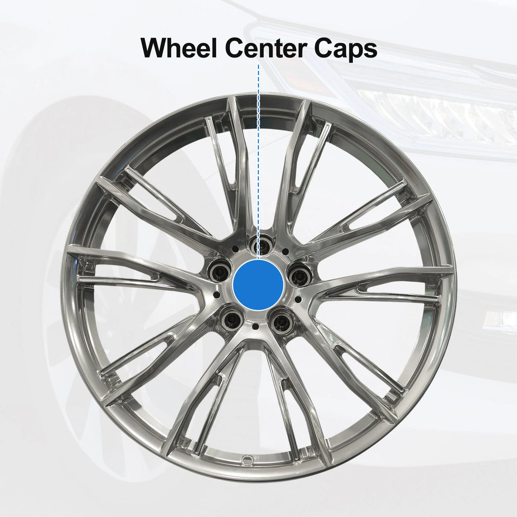 Wheel Center Cap for OD: 53mm Silver Tone