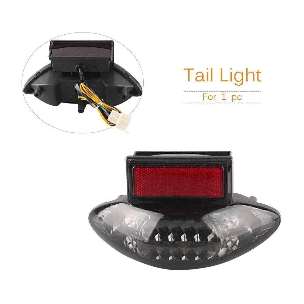 Tail Lamp Tail Light Indicator for Suzuki GSX1300R (1999–2007) Smoke