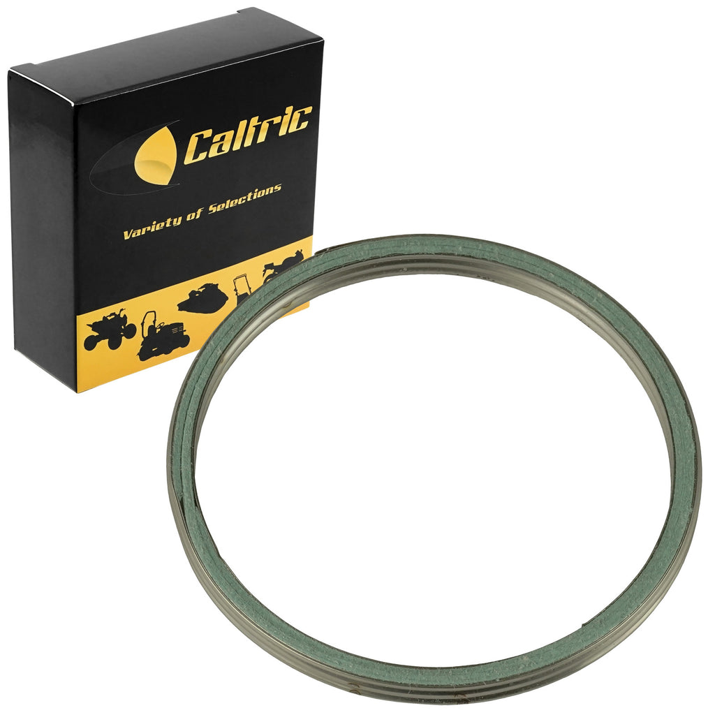Spark Plug Muffler Arrester Gasket Replacement for Honda TRX250EX 2001–2023