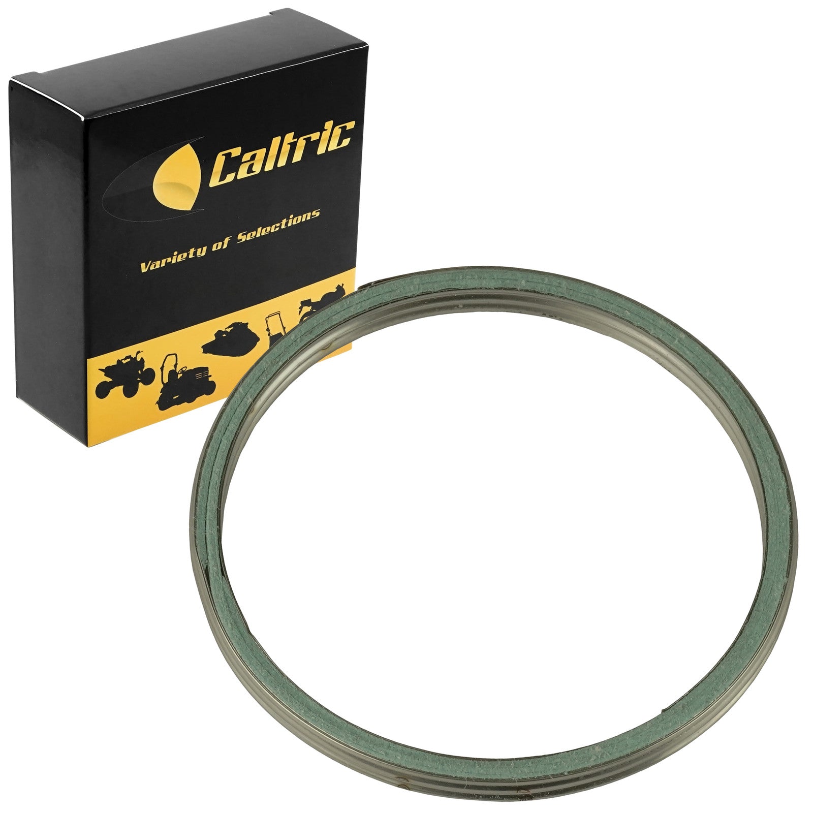 Spark Plug Muffler Arrester Gasket Replacement for Honda TRX250EX 2001–2023