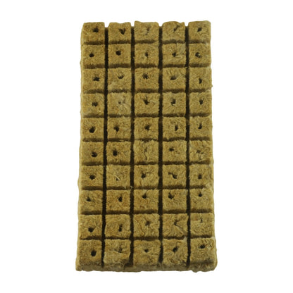 50 Pack Grow Starter Cubes for Successful Plant Establishment