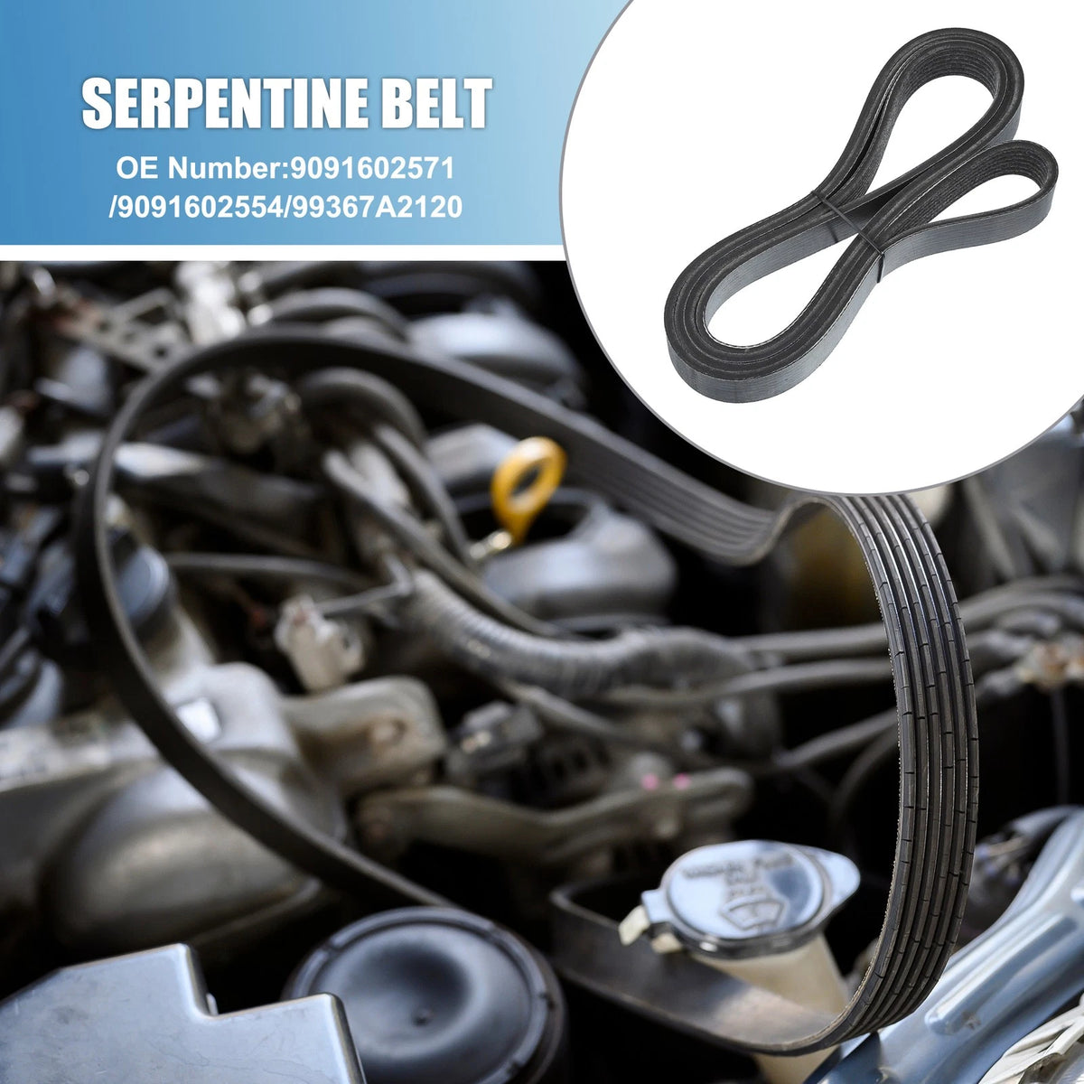 Serpentine Belt V-Ribbed Replacement for Toyota Tacoma V6 4.0L (2005–2023)