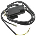 Ignition Coil Replacement for Kawasaki Double Line (2003–2012)