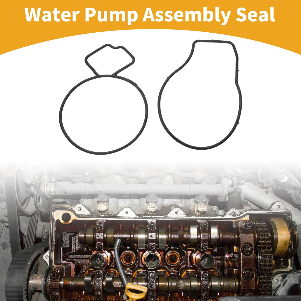 Water Pump Assembly Seal Replacement for Chevrolet Equinox (2010–2017)