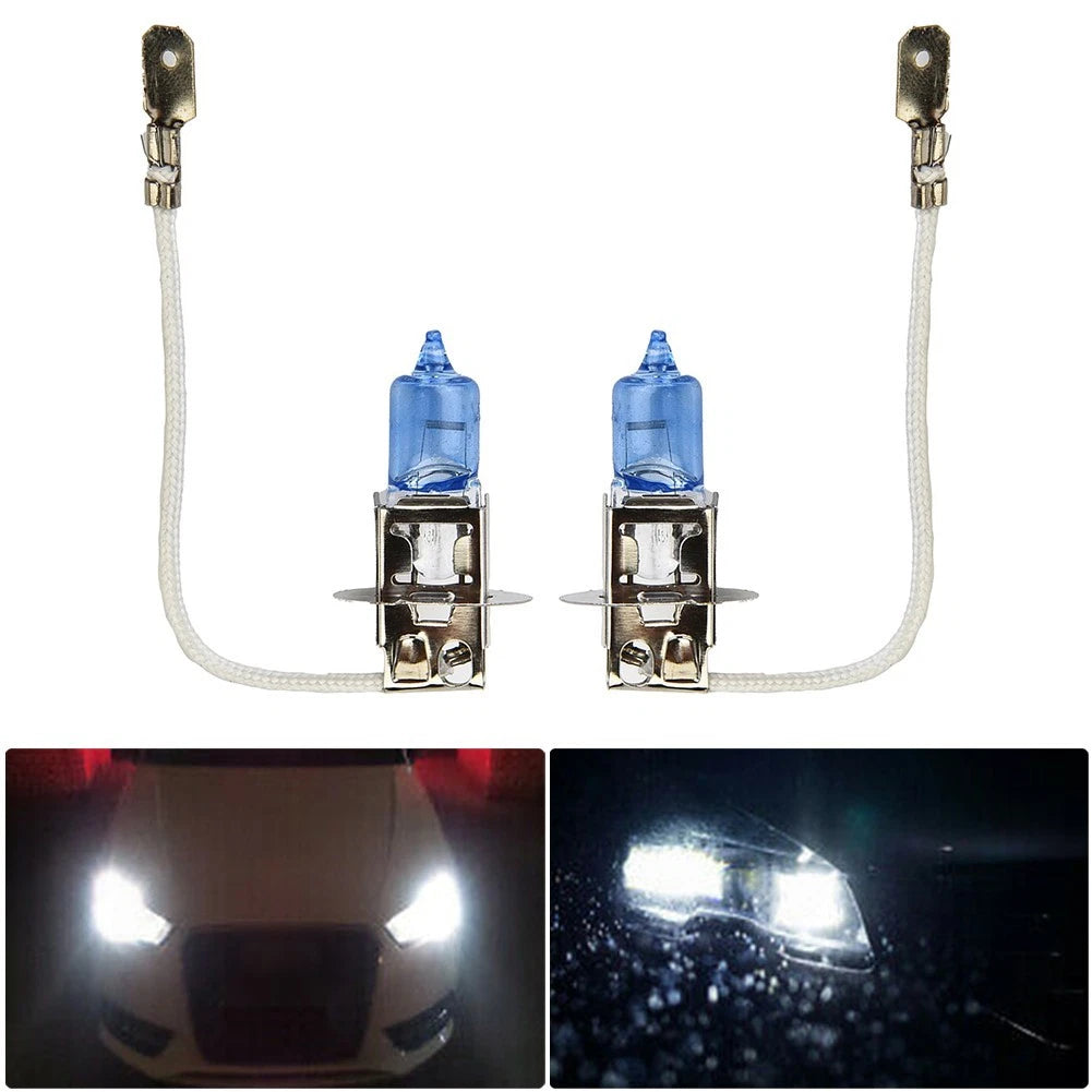 Fog Light Bulb 12V 453 for