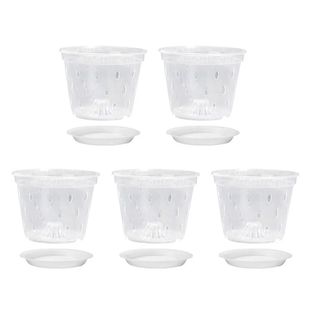 Clear Plastic Orchid Planters for Effective Drainage