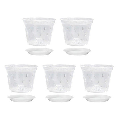 Clear Plastic Orchid Planters for Effective Drainage
