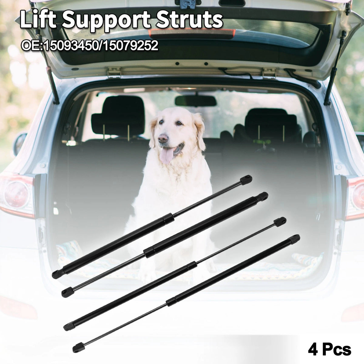 Rear Window Glass Lift Supports Struts for Buick Rainier (2004–2007)