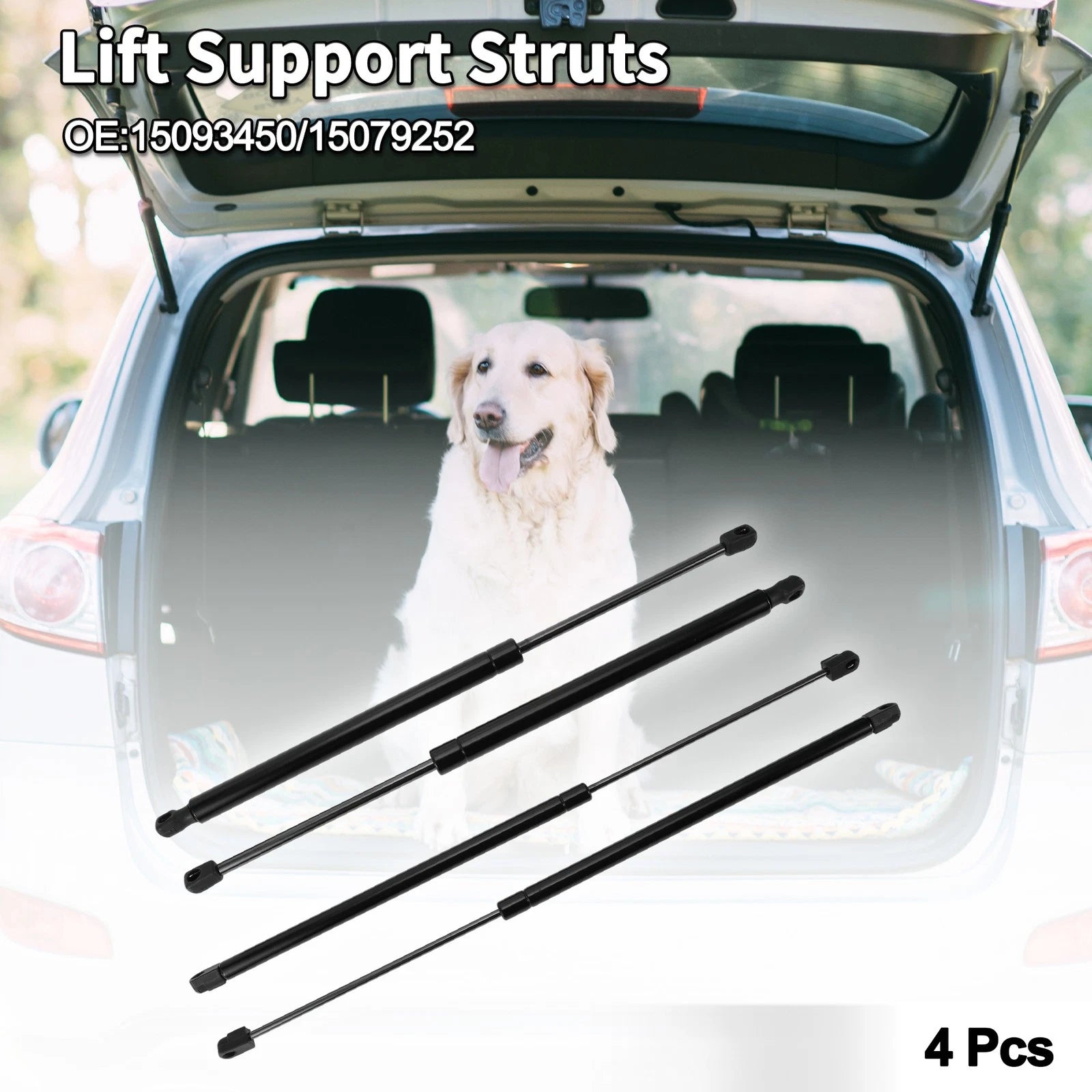 Rear Window Glass Lift Supports Struts for Buick Rainier (2004–2007)