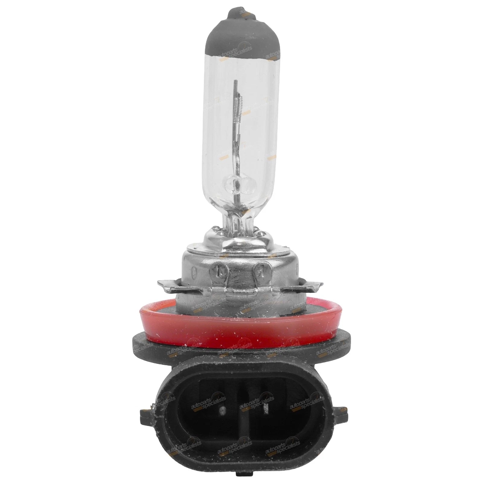 H8 Halogen Bulb PGJ19-1 for Headlight (12V 35W)