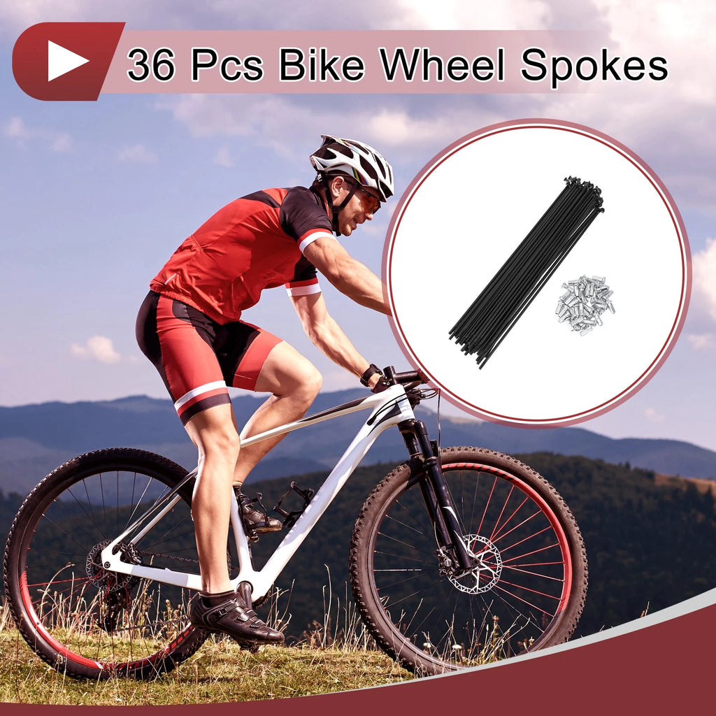 Bicycle Wheel Spokes Set 210mm Steel for 12G Bikes (2005–2015)