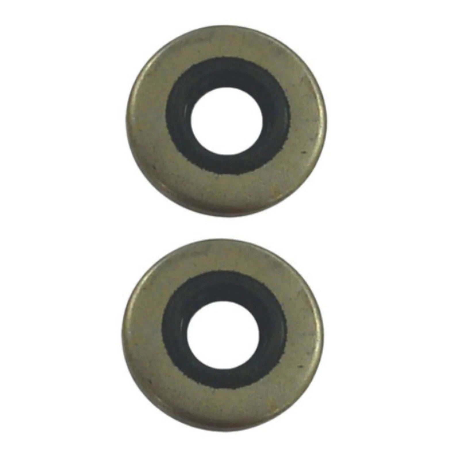 2Pcs Marine Oil Seal for Johnson/Evinrude (18-2028, 86170, 318973, 321480)