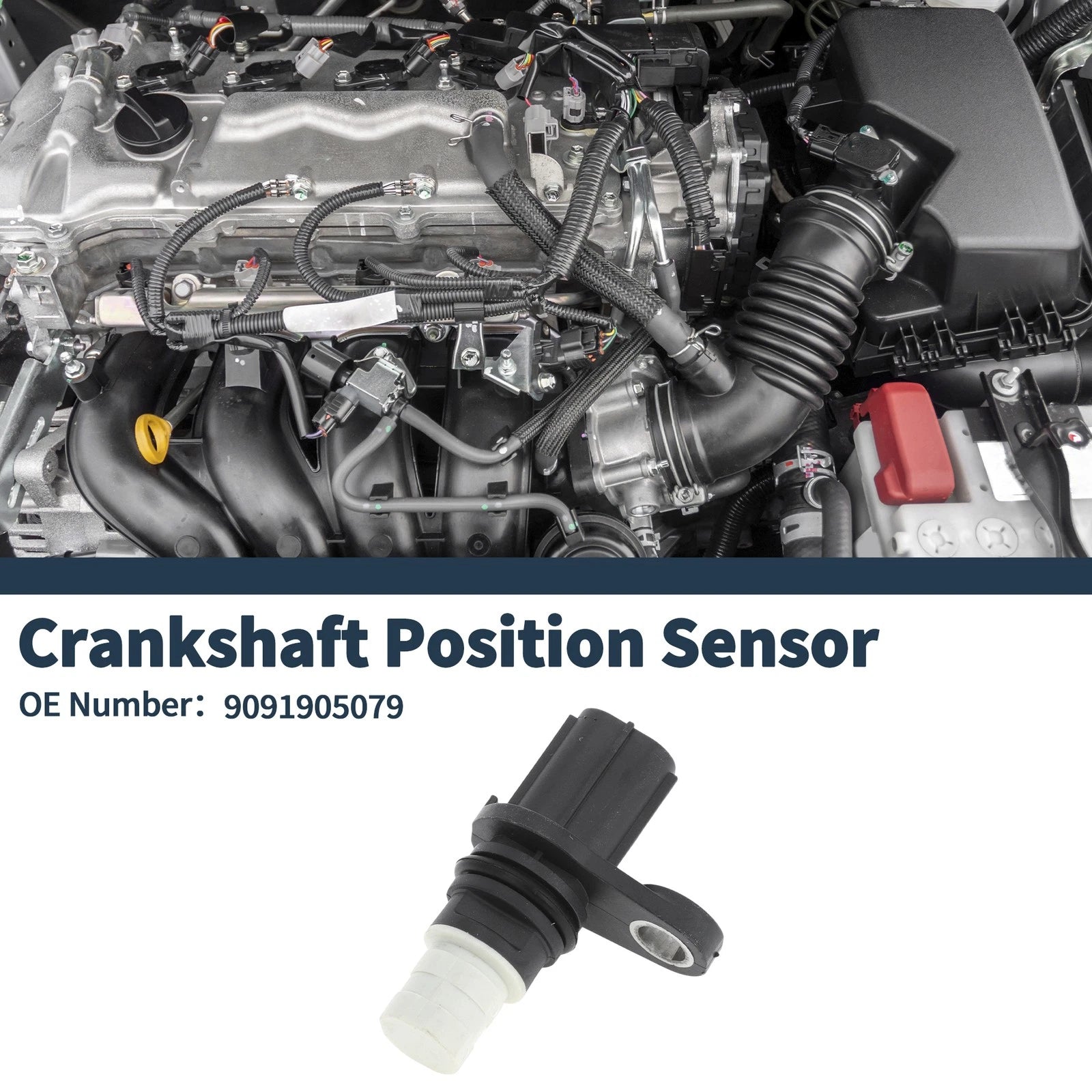 Crankshaft Position Sensor for Toyota Vitz F 1.3L (2006–2013) Replacement