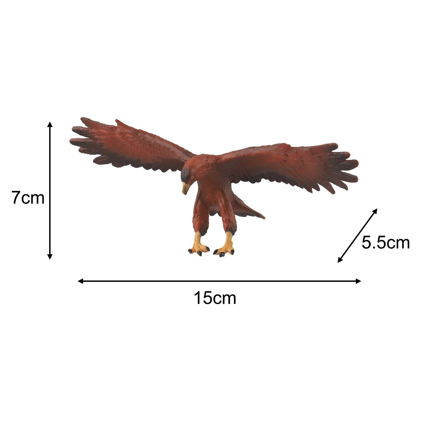 Simulation Animal Model Educational Tool - Realistic Shape, Tear-Resistant