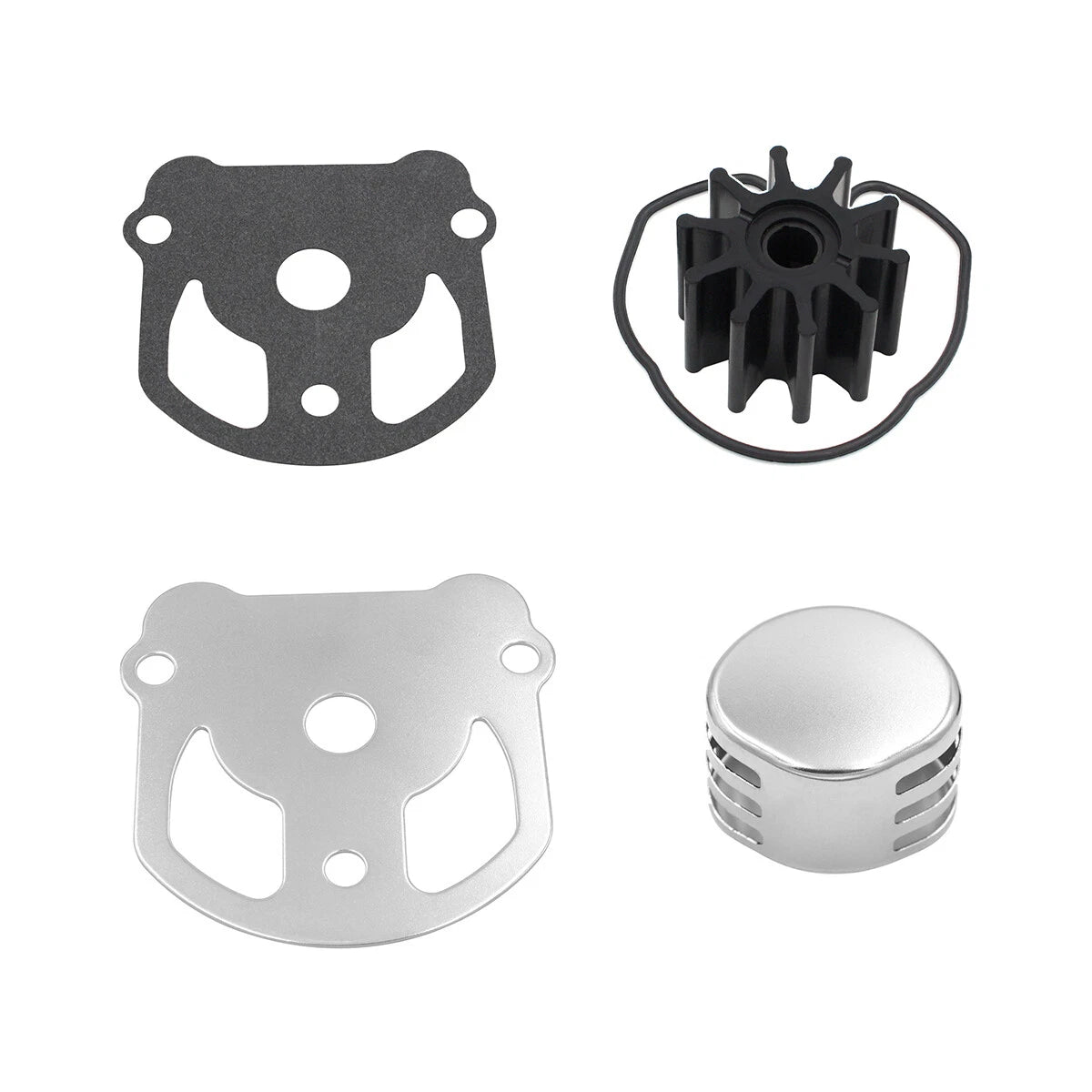 Water Pump Kit for OMC Cobra (984461)