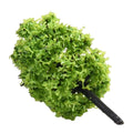 Model Tree Scenery 1:100 for Railroad (Plastic Artificial Decoration)