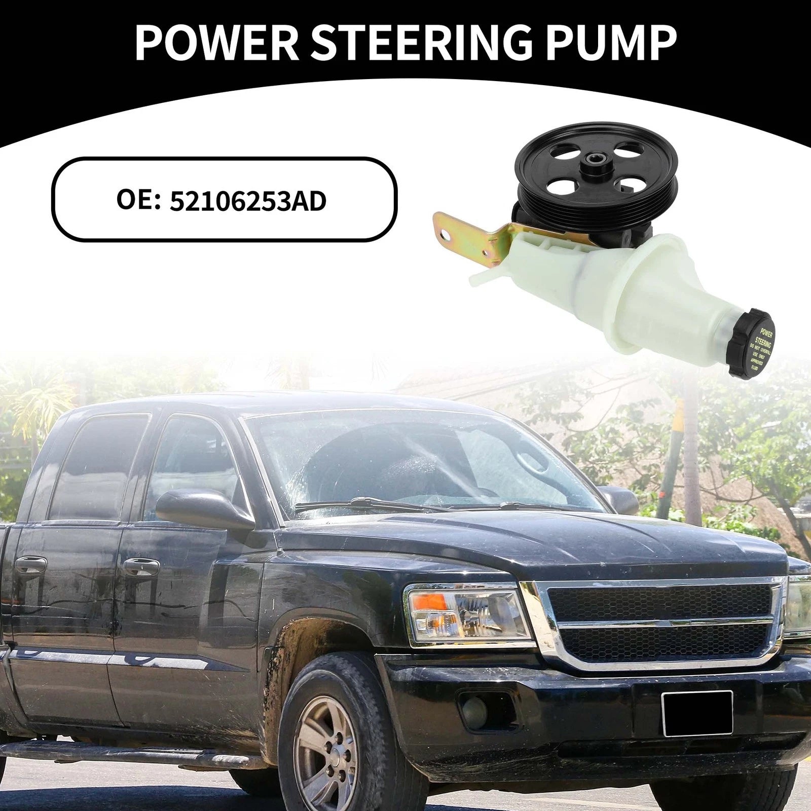 Power Steering Pump Assembly with Pulley for Dodge Dakota Durango (2001–2004)